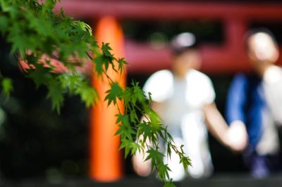 その他 霧島国際ホテルの写真