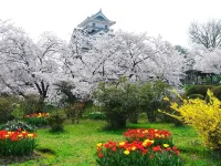 Senkeien Tsukioka Hotel