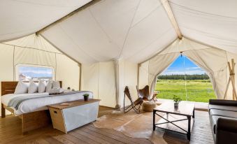 Under Canvas West Yellowstone