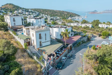 Queen Boutique Hotel Отели в г. Bitez