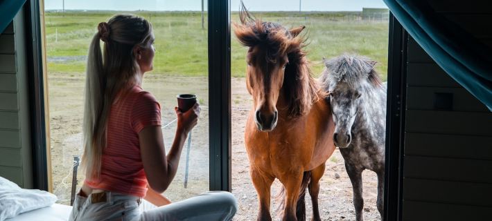 Sleeping with the Horses Hotels in Rangarthing eystra