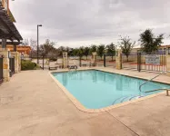 Comfort Suites Arlington - Entertainment District - Pet friendly