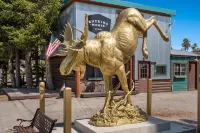 The Bucking Moose - 2 stelle