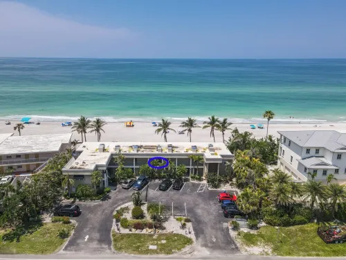 Direct Oceanview, One-Bedroom: Open 17th - 21st!