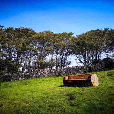 The Snuggly Sheep Shepherd Hut Campview Farm Stay Hotel Exterior