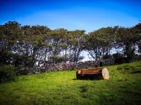 The Lazy Llama Shepherd Hut Campview Farm Stay Hotels in 