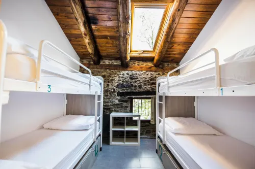 Mountain Hostel Tarter - bar