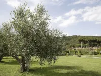 Hotel & Resort Sant'Anna Del Volterraio Hotels in Rio