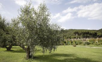 Hotel & Resort Sant'Anna Del Volterraio
