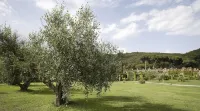 Residenza Sant’Anna Del Volterraio
