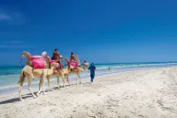 Djerba Plaza Thalasso & Spa - Beach