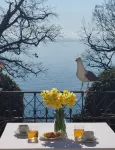 Hotel Villa Astra - Ocean View