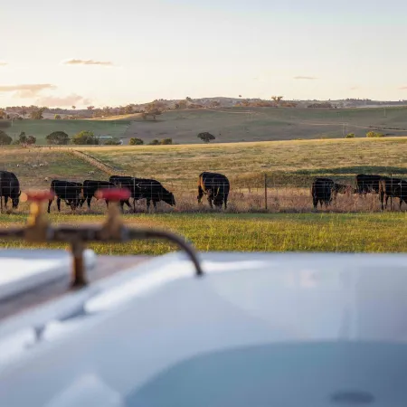Rest at BoxGrove Hotels in Bathurst
