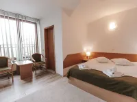 Hotel Apollo Central Hotels in Sibiu