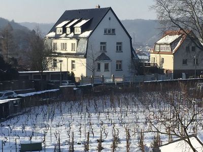 Ferienwohnungen Burkhardt