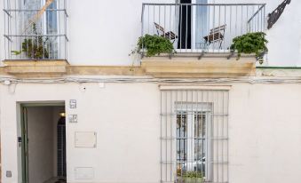 Casa Portus Gaditanus s XVIII Patio Andaluz