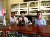 River Dolphin Hotel - Bars
