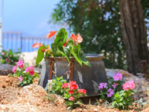 Villa Dundar Apart Hotel โรงแรมในคาช