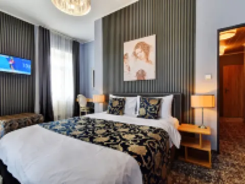 Hotel DaVinci Hotels in Marianske Lazne