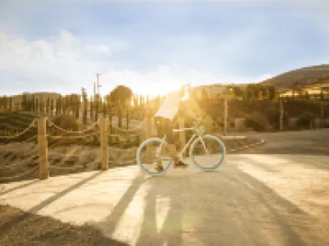 Aelia Wellness Retreat Ξενοδοχεία στην πόλη Τσέρι