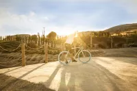 Aelia Wellness Retreat Hotels in Lympia