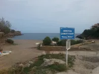 Villa V