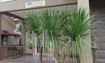 GM Homestay Kelibang