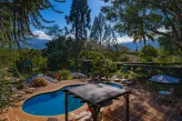 Hotel Villa Florencia - Pools