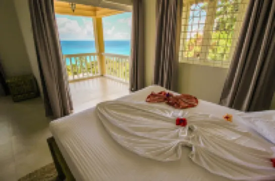 カズ ブランジェ