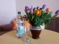 Ferienwohnung Fröhlich