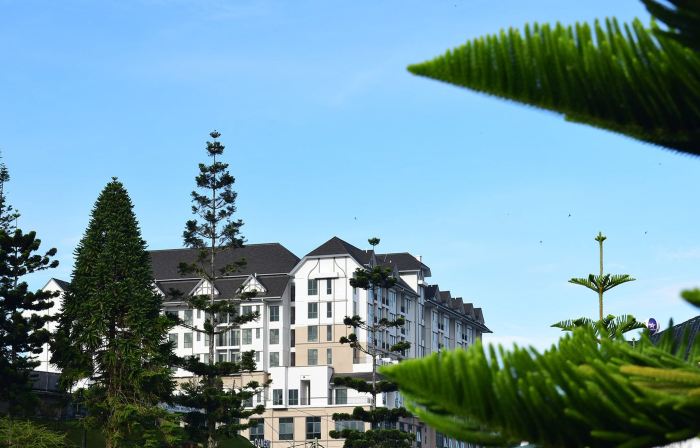 Avillion Cameron Highlands