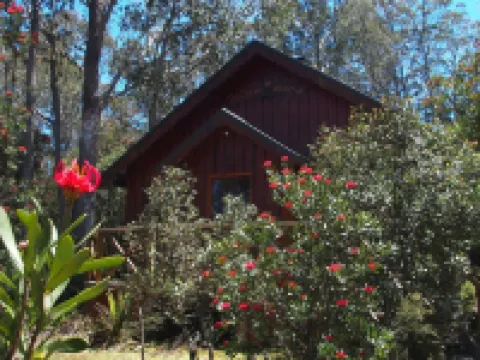 Cradle Highlander Hotels in Cradle Mountain