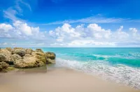 Palm Beach Historic Inn - Beach