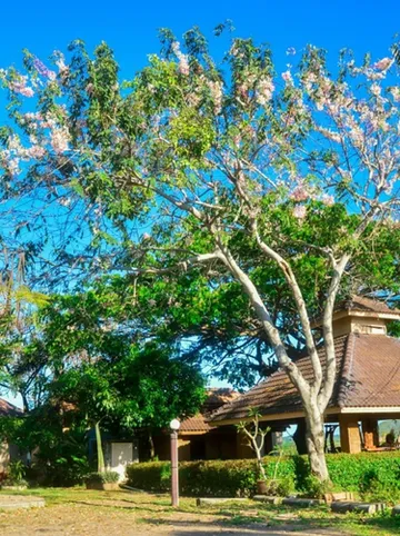 รูปภาพของริมภูฮิลล์รีสอร์ท