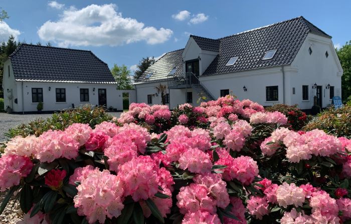 Hedegaarden v/Mette Kjær Hedegaard