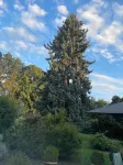 Glycines Country Guesthouse Hotels in Yvelines