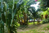 belle créole Hotels in Anse-Bertrand