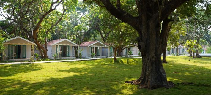 Blu Resorts Hotels in Vagator