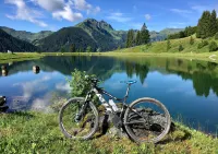 Living Apartments Saalbach