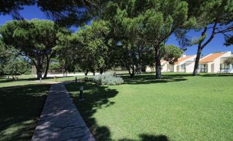 Browns Sports Resort