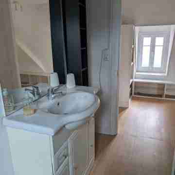 Apt with garden and parking on the banks of the Seine in front of the cathedral Rooms