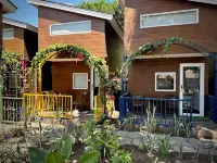 The Social - Begadang Gili Air - Pet friendly