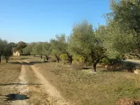 Mas des oliviers Hotel a Merindol-les-Oliviers