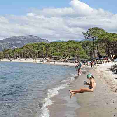 A 150 m de la Plage, Dans la Pinède, Charmant Appartement, Idéal Pour 4 Pers Fitness & Recreational Facilities