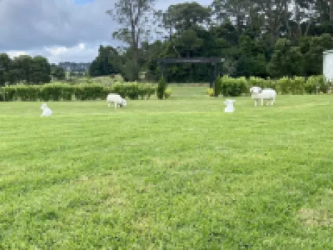 Luxurious, Cosy & Relaxed Apartment with Spa 羅伯遜酒店