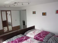 Apartment house Biengarten in the quiet wine town Neustadt - Gimmeldingen Hotels in Neustadt