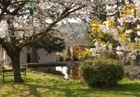 Organic home, garden & swimming pond, quiet location, Vienna reached in 15 min Hotels in 