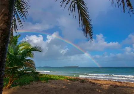 Caribbean Oasis - Spacious Beach Front Villa
