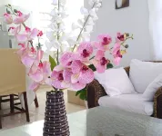 Comfort Stay Vacation Rental