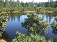 Exclusive calm family friendly - holiday home in the Bayerischer Wald Hotels in Lindberg